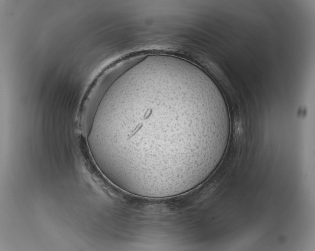 X0000113010628200909171430