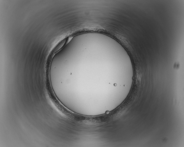 X0000113010630200909171430