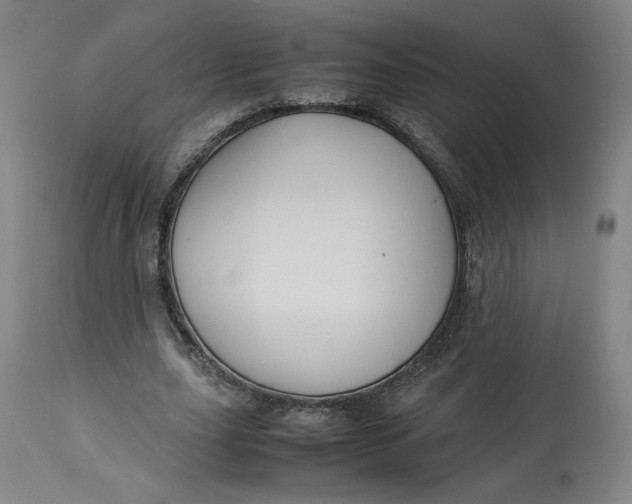 X0000113010631200909171430