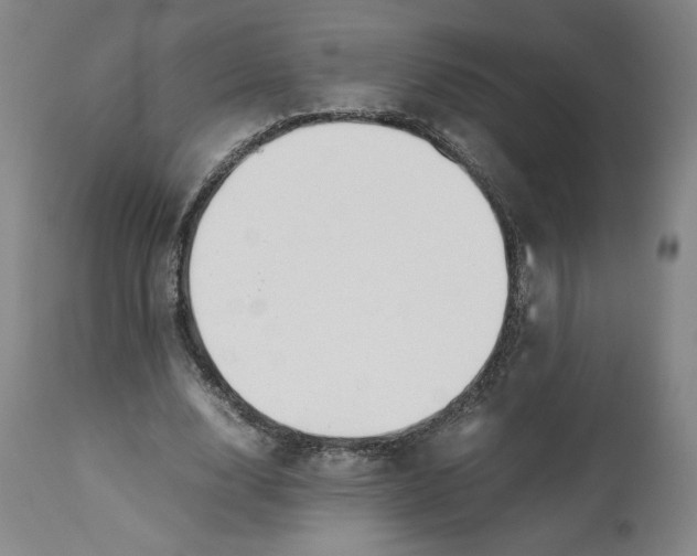 X0000113010632200909171430