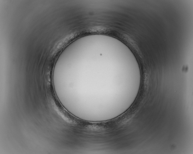 X0000113010633200909171430