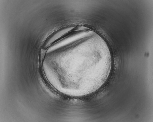 X0000113010634200909171430