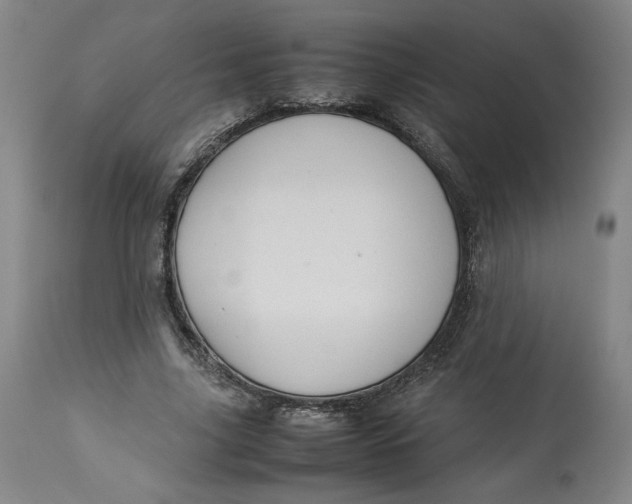 X0000113010635200909171430