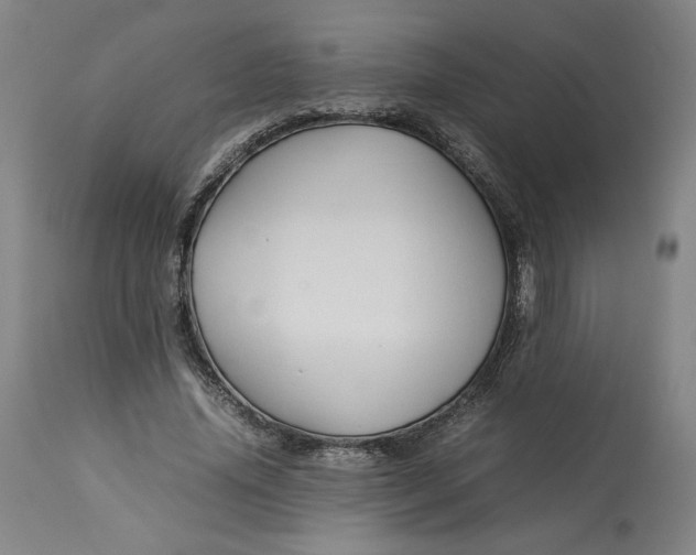 X0000113010636200909171430