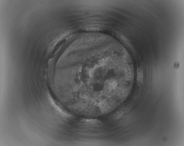 X0000113010637200909171430