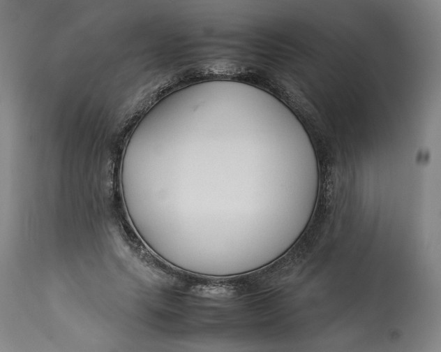 X0000113010639200909171430