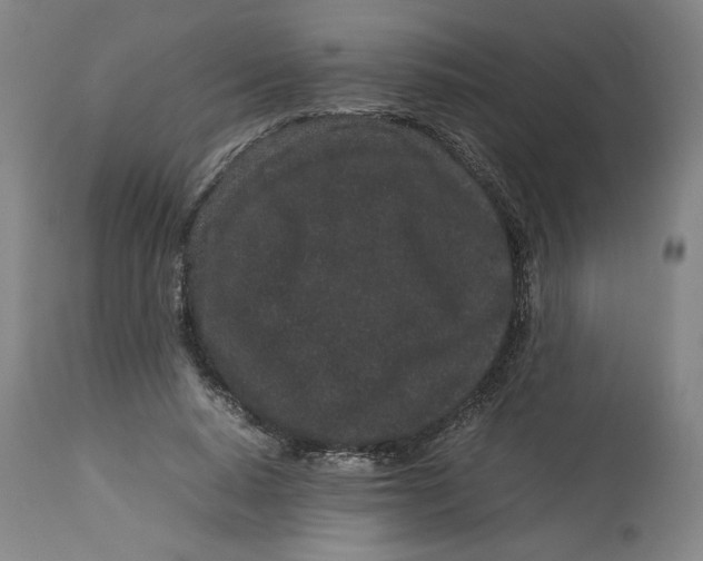 X0000113010640200909171430