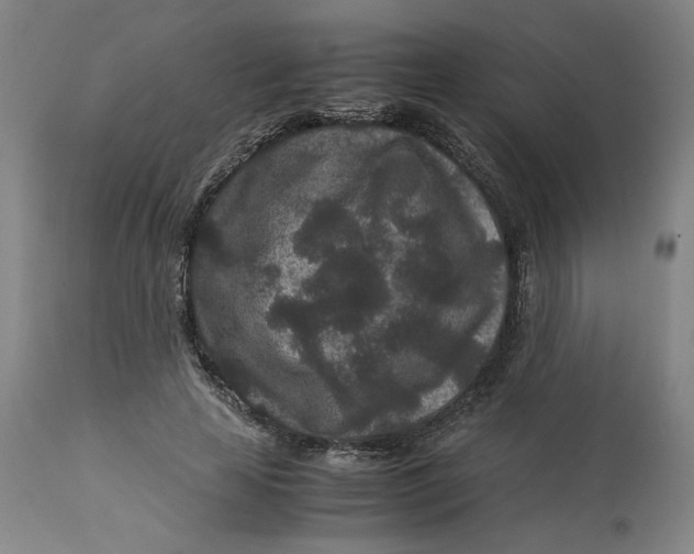 X0000113010641200909171430