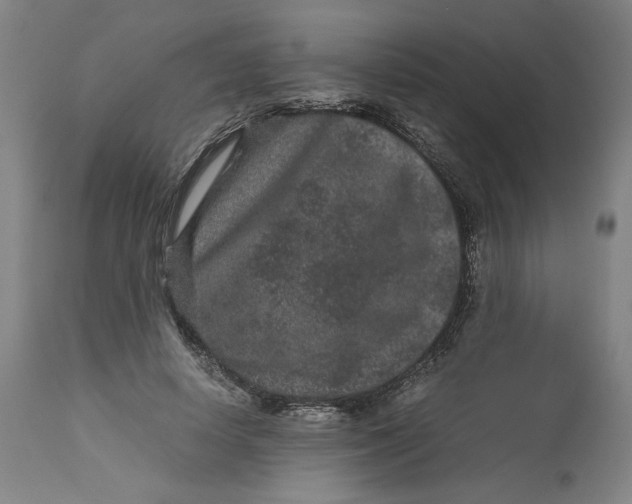 X0000113010642200909171430