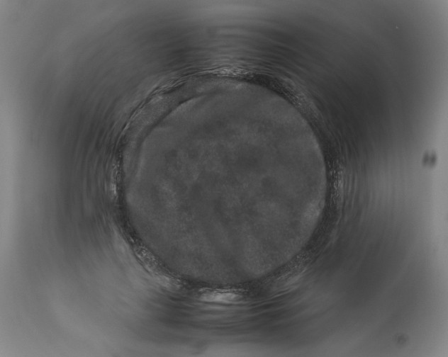 X0000113010643200909171430