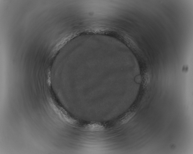 X0000113010644200909171430