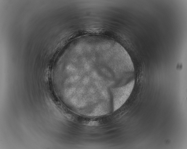 X0000113010647200909171430