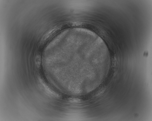 X0000113010648200909171430