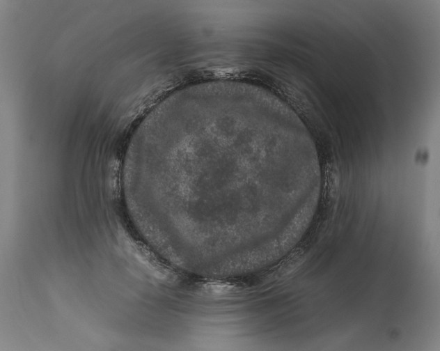 X0000113010650200909171430