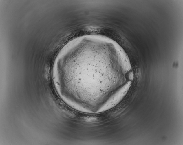 X0000113010651200909171430