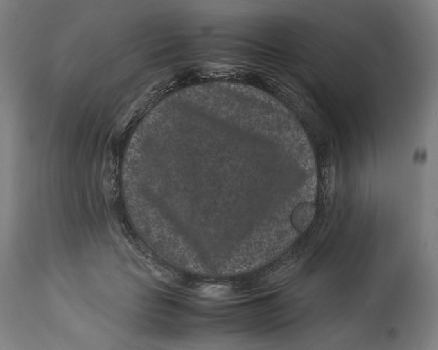 X0000113010653200909171430