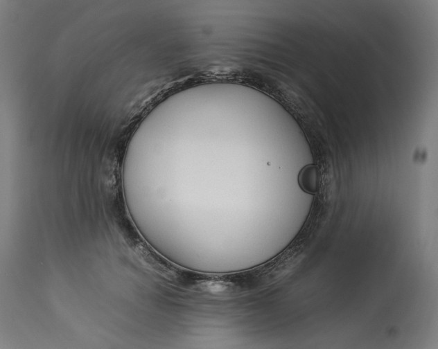 X0000113010654200909171430