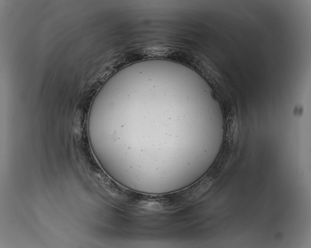 X0000113010655200909171430