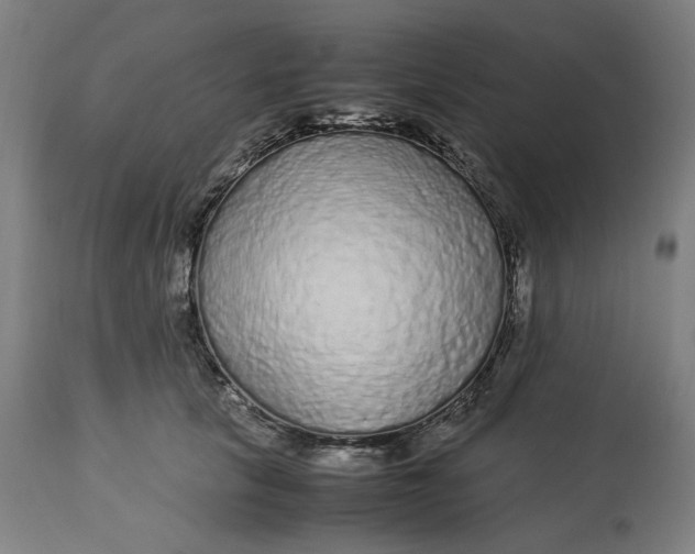 X0000113010657200909171430