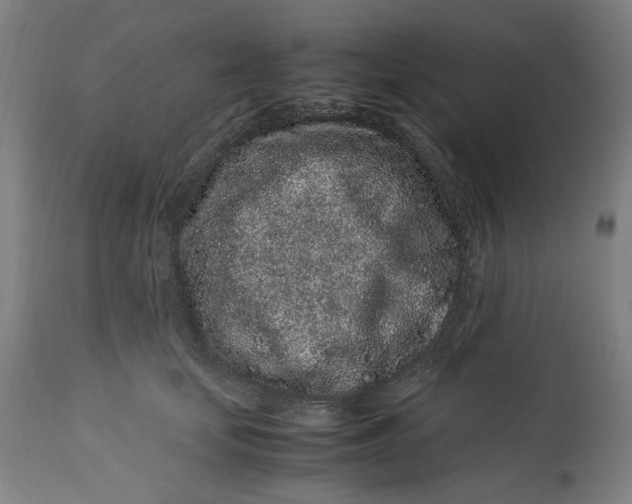 X0000113010659200909171430