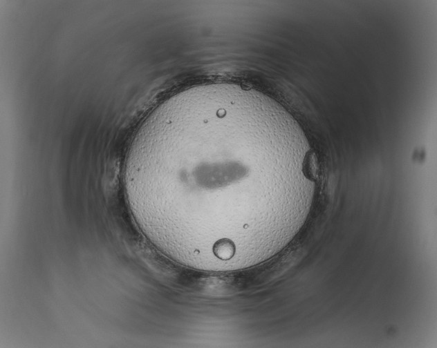 X0000113010660200909171430