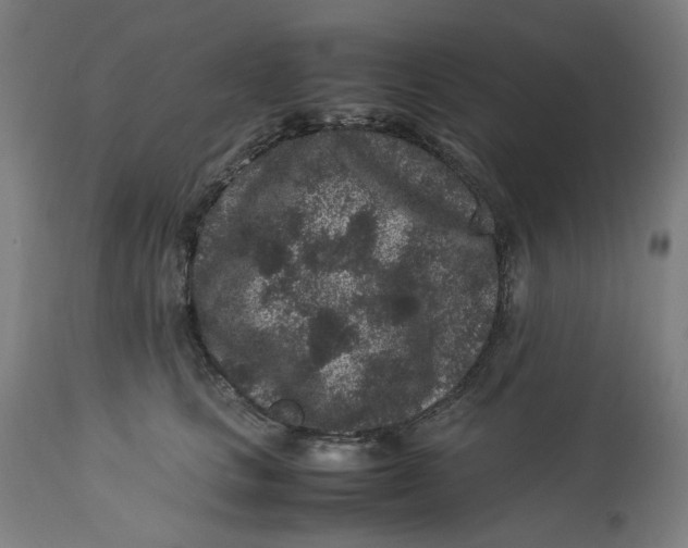 X0000113010661200909171430