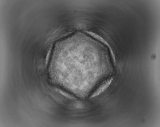 X0000113010663200909171430