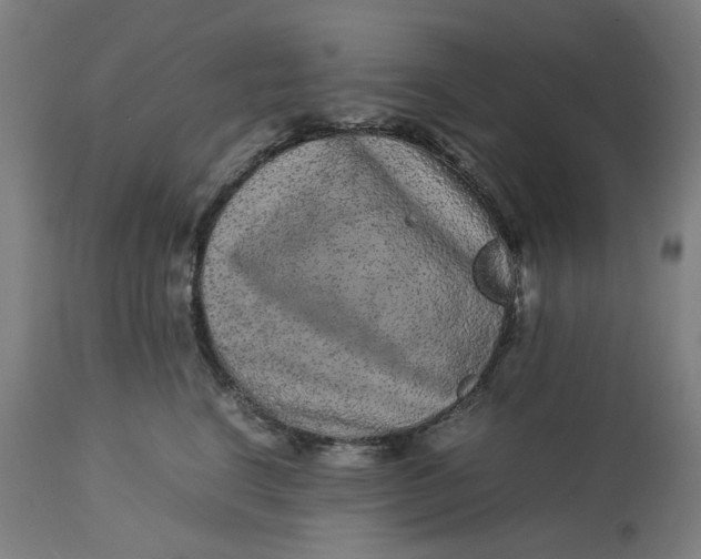 X0000113010664200909171430