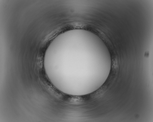 X0000113010666200909171431