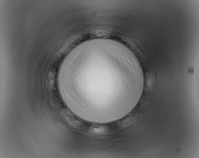 X0000113010667200909171431