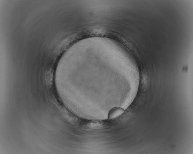 X0000113010668200909171431