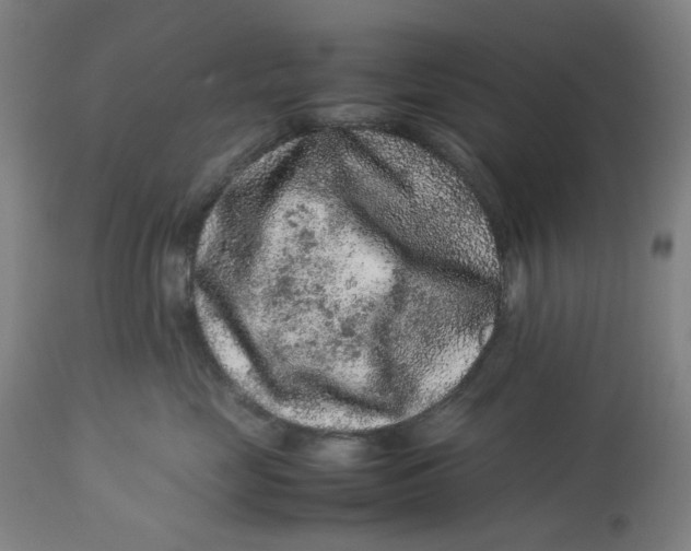 X0000113010669200909171431