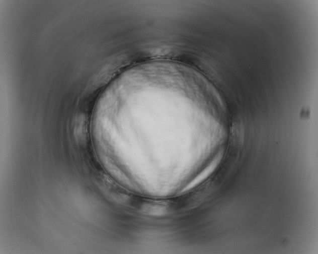 X0000113010671200909171431