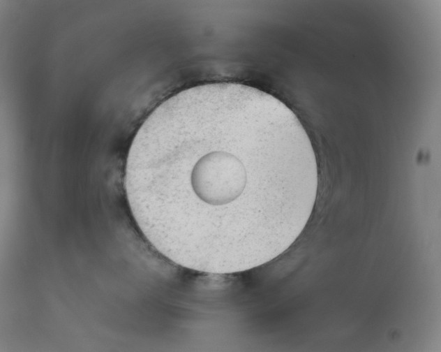 X0000113010672200909171431