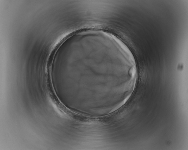 X0000113010674200909171430