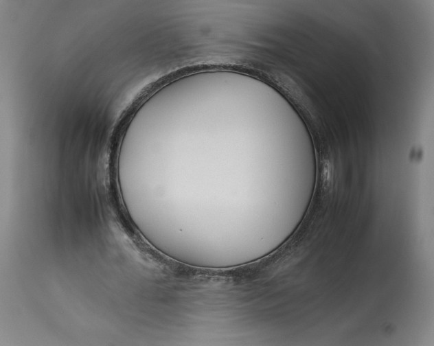 X0000113010676200909171430