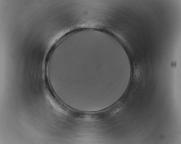 X0000113010678200909171430