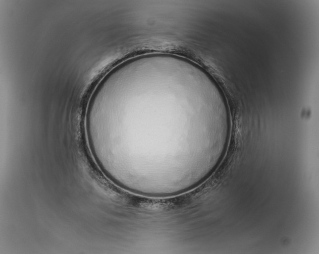 X0000113010679200909171430