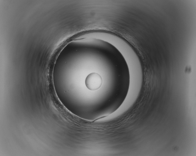 X0000113010680200909171430