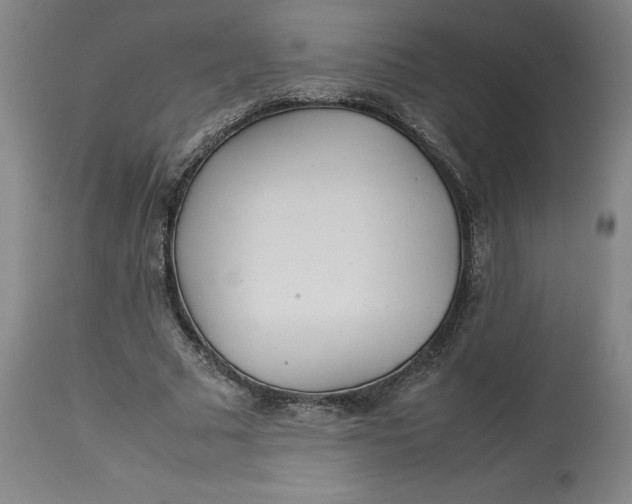 X0000113010681200909171430