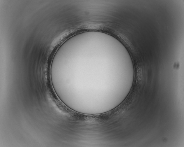 X0000113010682200909171430