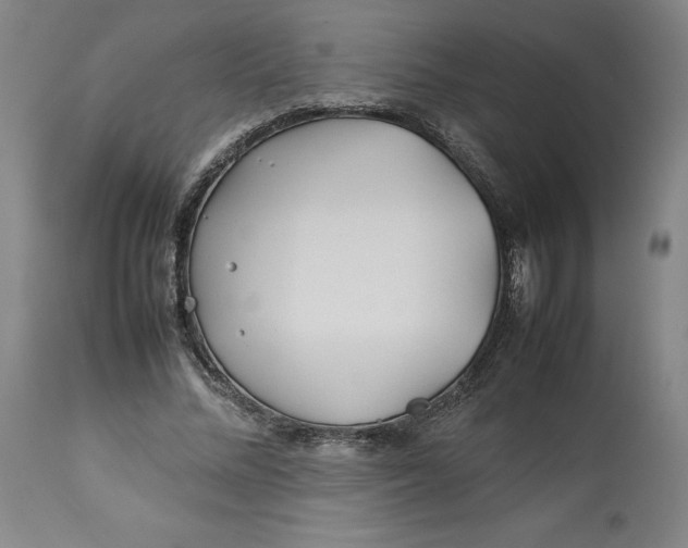 X0000113010684200909171430