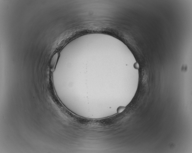 X0000113010685200909171430