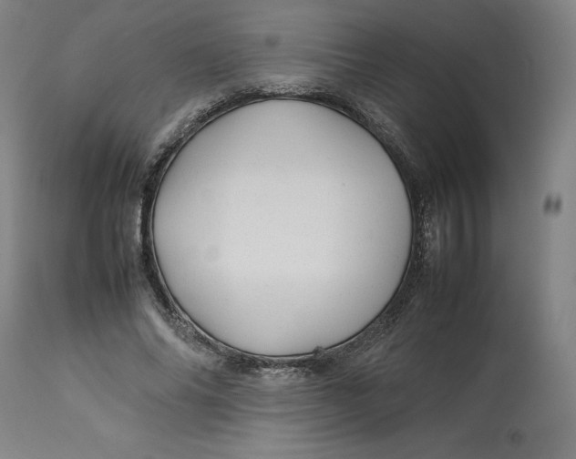 X0000113010686200909171430