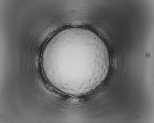 X0000113010687200909171430