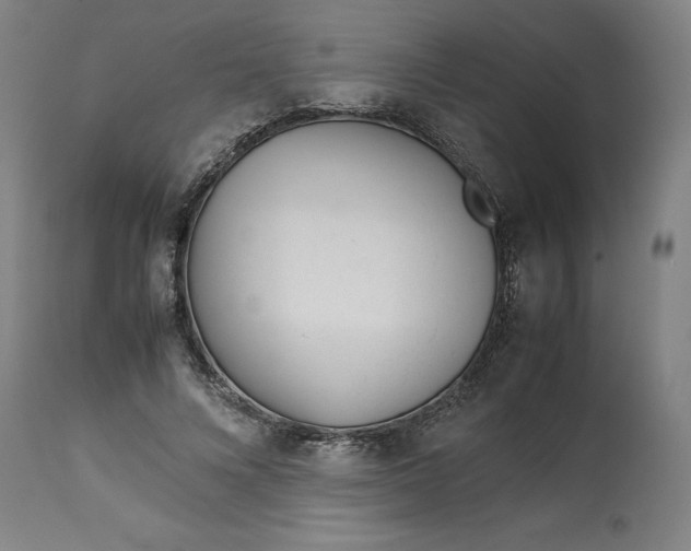 X0000113010688200909171430