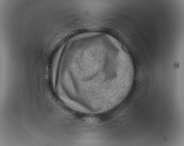 X0000113010689200909171430