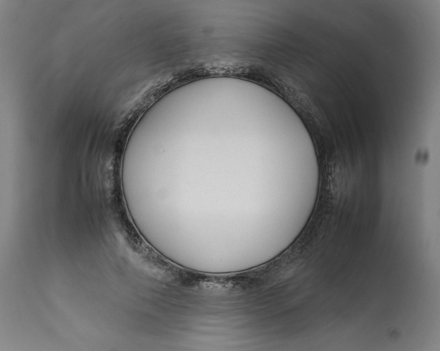 X0000113010690200909171430