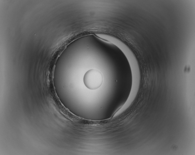 X0000113010692200909171430