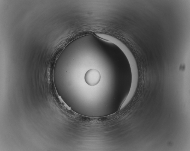 X0000113010696200909171430